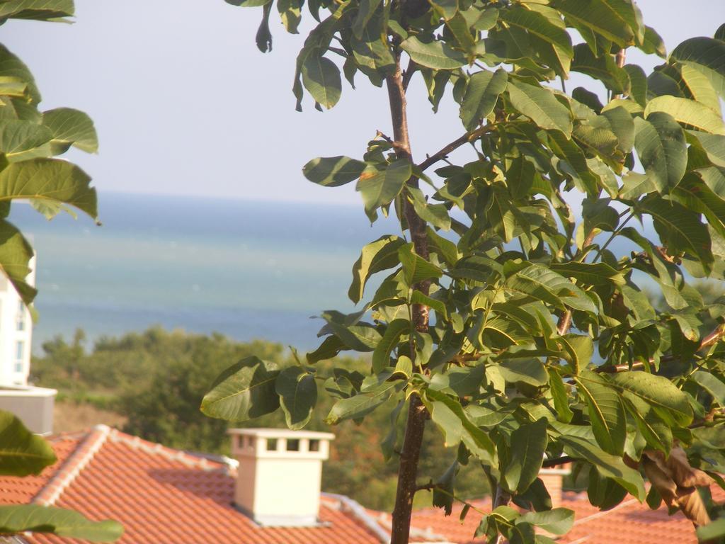 Guest House "Zora - Sarafovo" 부르가스 외부 사진